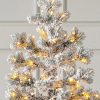 Frosted Yukon Spruce®