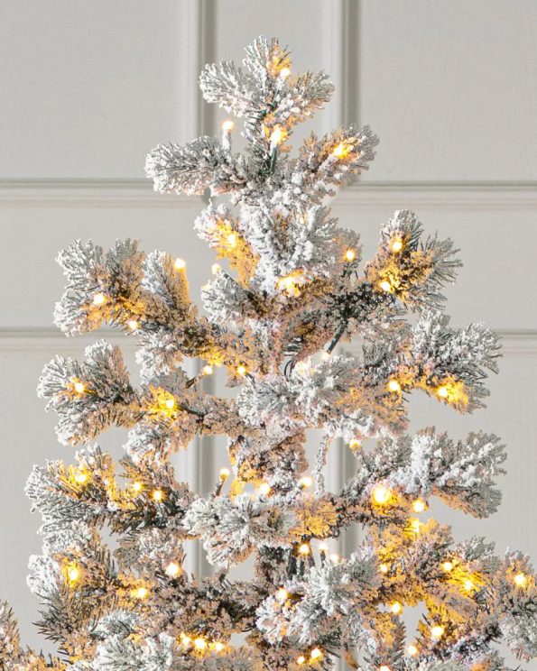 Frosted Yukon Spruce®