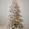 yukon spruce tree