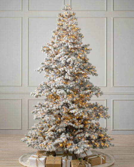 yukon spruce tree