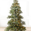 yukon spruce tree