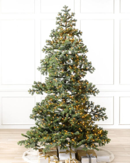 yukon spruce tree