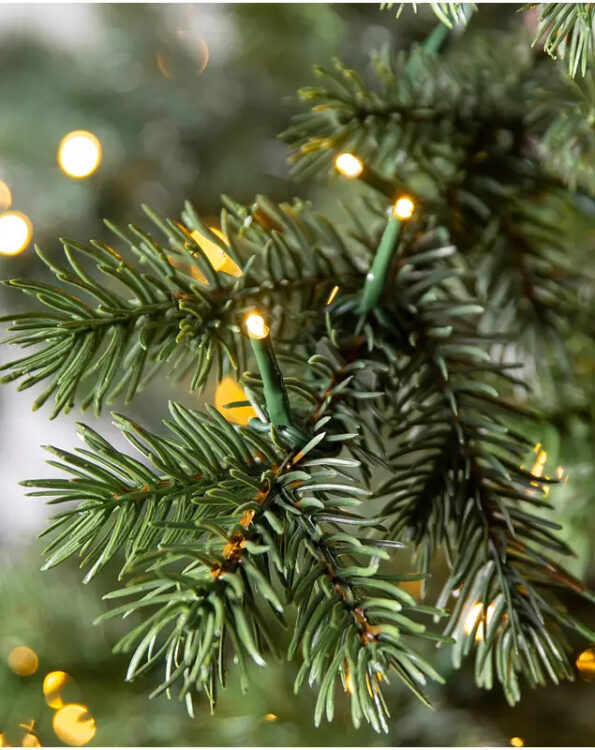 Yukon Spruce®