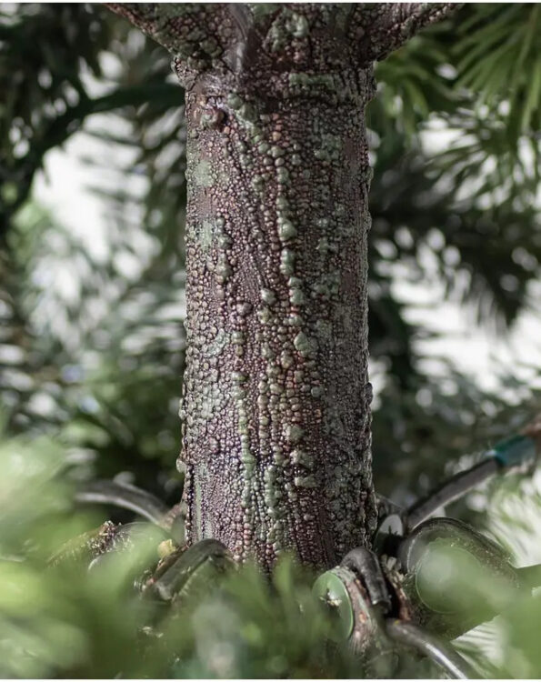 Yukon Spruce®
