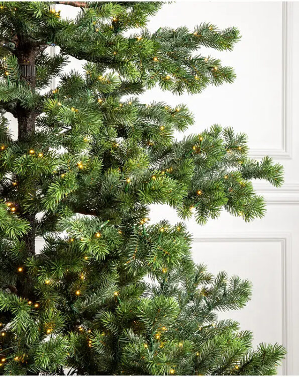 Yukon Spruce®
