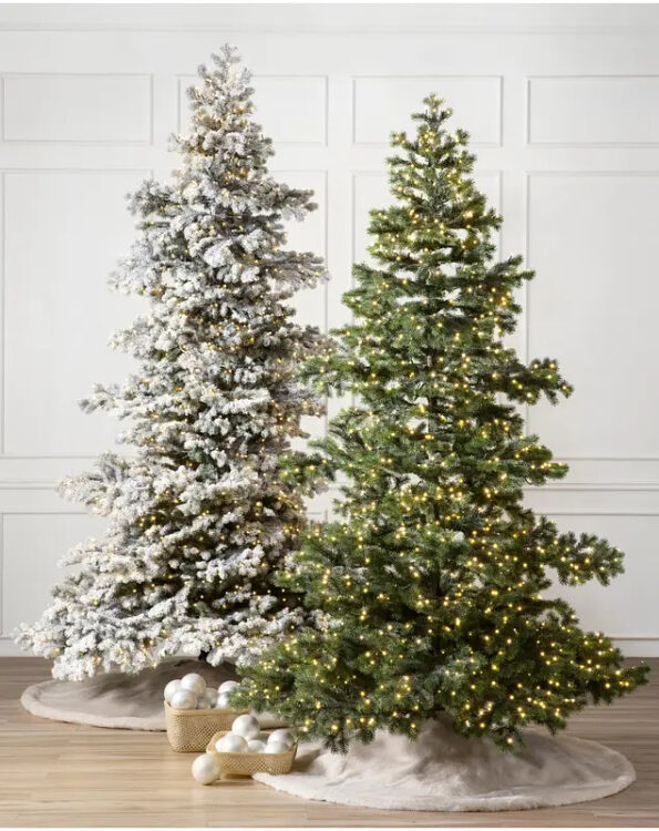 Yukon Spruce®